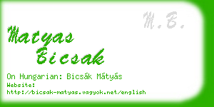 matyas bicsak business card